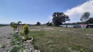 Vaanya Farms Dehradun