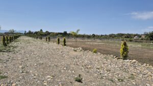 Vaanya Farms Dehradun