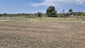 Vaanya Farms Dehradun