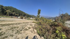 Residential Plots near Bahuwala