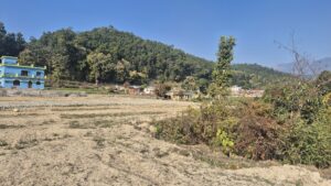 Residential Plots near Bahuwala